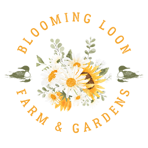 BLFG-blank-background-LOGOsm Blooming Loon Farm & Garden