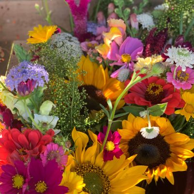 DIY Flower Bucket – Full Season Share, Bi-Weekly for a total of 7