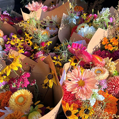 Full Season Flower Share Bi-weekly for a total of 7 bouquets