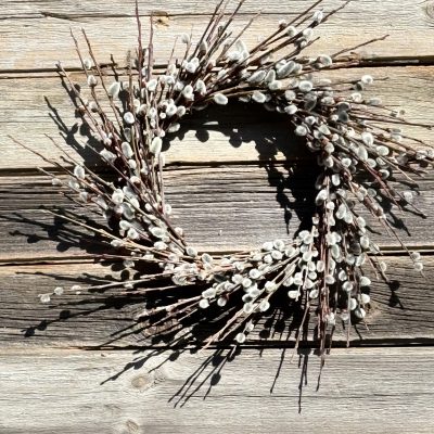 Pussy Willow Wreath-SOLD OUT
