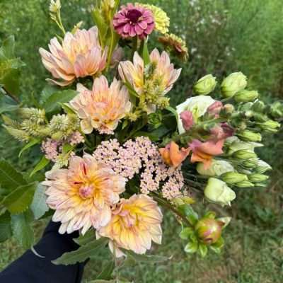 Full Season Flower Share Monthly for a total of 4 bouquets