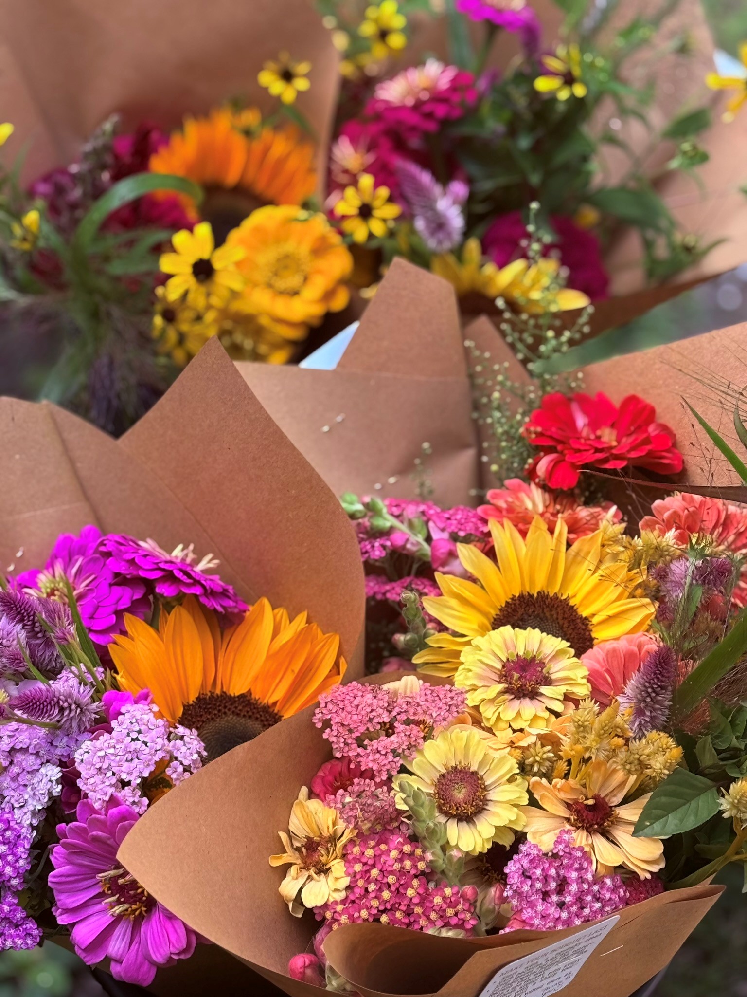 Full Season Flower Share Monthly for a total of 4 bouquets - Image 4