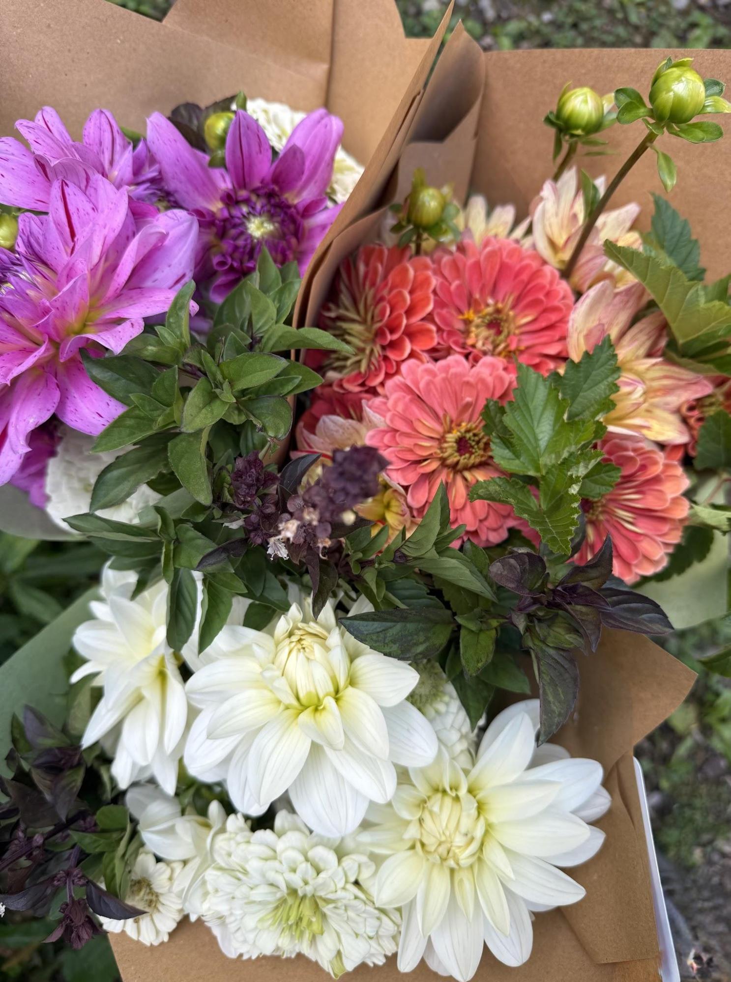 DIY Flower Bucket - Full Season Share, Bi-Weekly for a total of 7 - Image 9