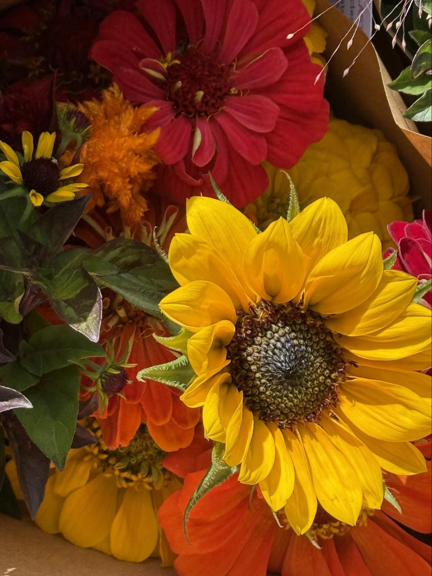 DIY Flower Bucket - Full Season Share, Bi-Weekly for a total of 7 - Image 8